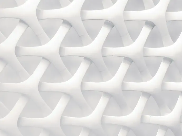 white and gray optical illusion